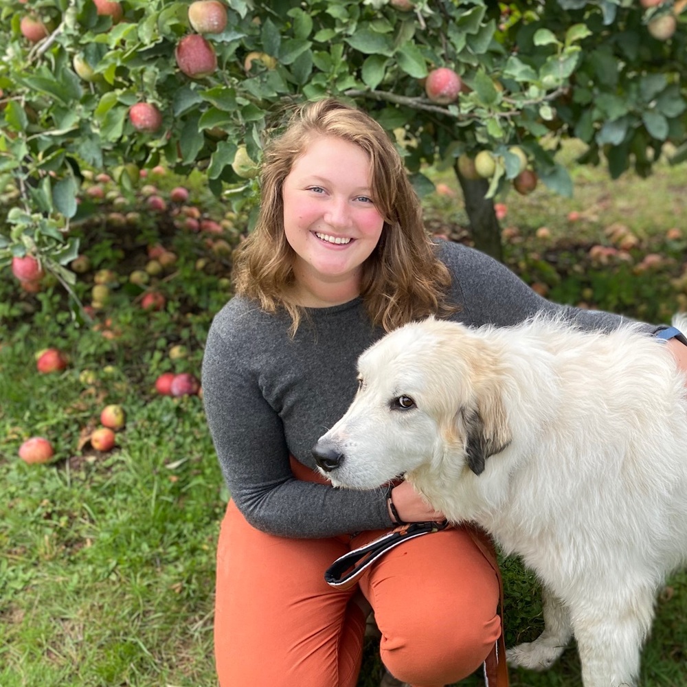 Meet your Posher, Hailey